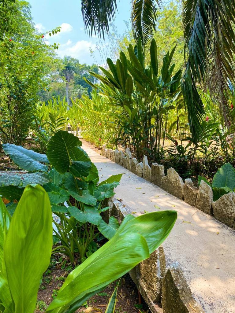 Hotel Maya Bell Palenque Eksteriør billede