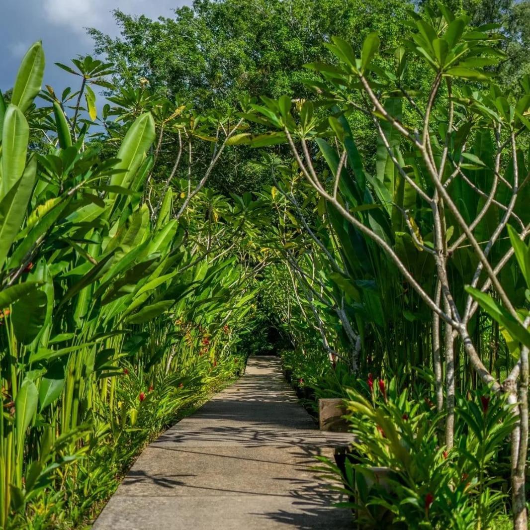 Hotel Maya Bell Palenque Eksteriør billede