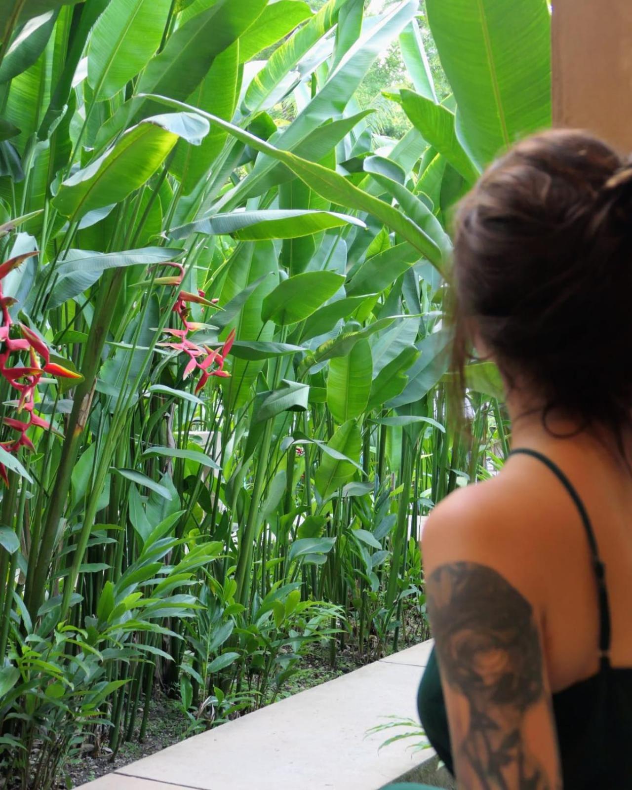 Hotel Maya Bell Palenque Eksteriør billede